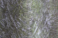 South Harrow fibreglass roof work